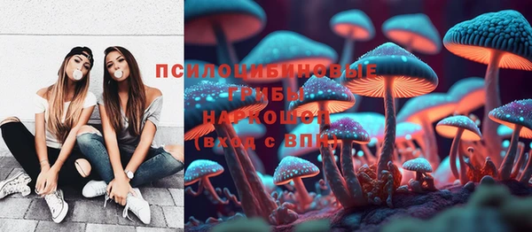 героин Алексин