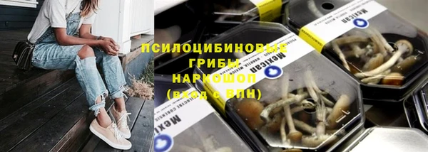 героин Алексин